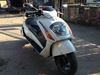 Picture of Suzuki Gemma Scooter